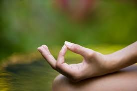 chin mudra yoga adelaide